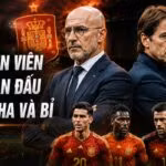 Đánh giá huấn luyện viên trước trận đấu Tây Ban Nha và Bỉ